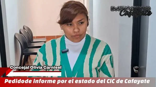 concejalcarnisel
