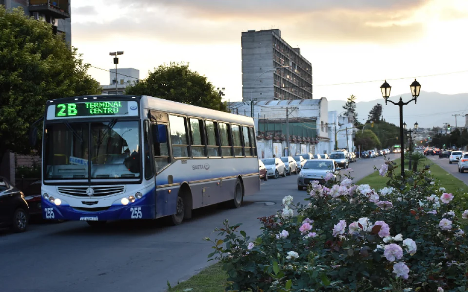 colectivo